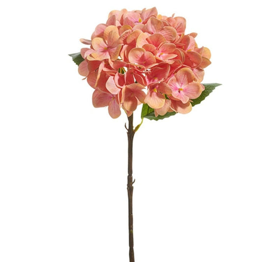 18 Coral Hydrangea Stem