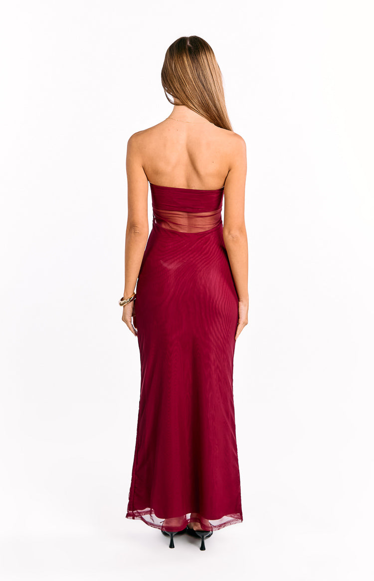Ryker Wine Strapless Mesh Maxi Dress