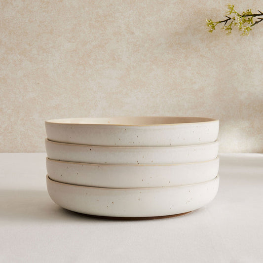 Alfredo Speckled Stoneware Set of 4 Pasta Bowls - DUSK
