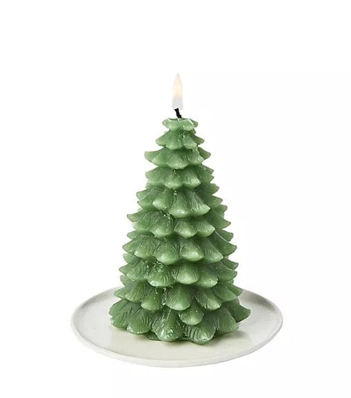 Cypress Fir Tree Candle Paddywax Candle