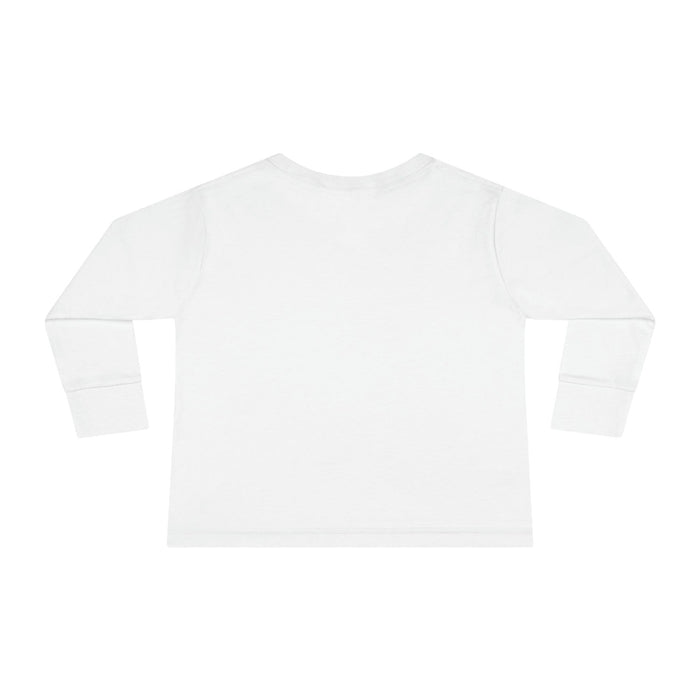 Kids Long Sleeve Cotton Tee Fox Airplane Balloons, Toddler Tops, Kids Tees, Kids Tops, Kids Clothing, Made in the USA